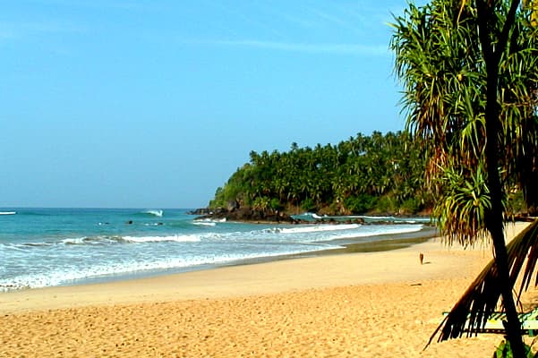 Enjoy the North and the Coast of Sri Lanka on Your Sri Lanka Holiday